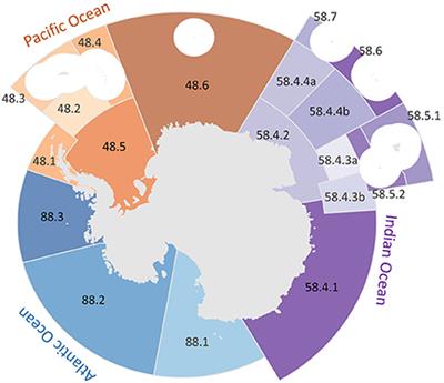 Using the Ocean Health Index to Identify Opportunities and Challenges to Improving Southern Ocean Ecosystem Health